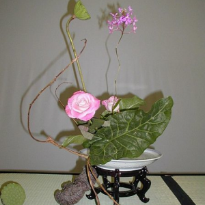 Ikebana Japans bloemschikken