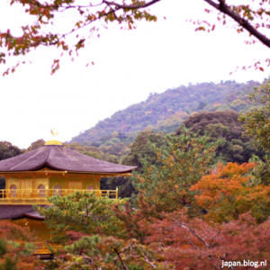 Bezoek Kioto in de herfst