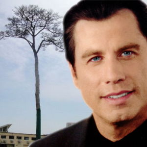 John Travolta uit de kast als boomliefhebber
