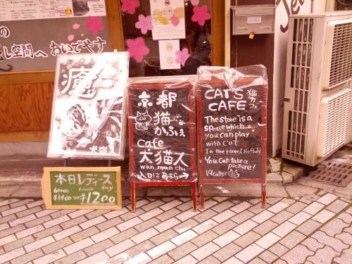 Reclamebord voor een kattencafé in Kyoto, Japan